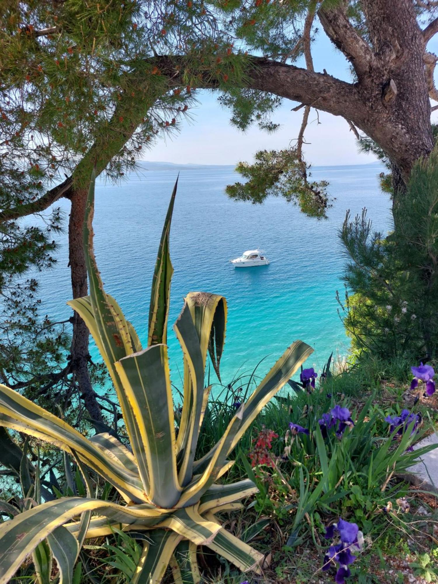 Villa Bratus Promajna Buitenkant foto